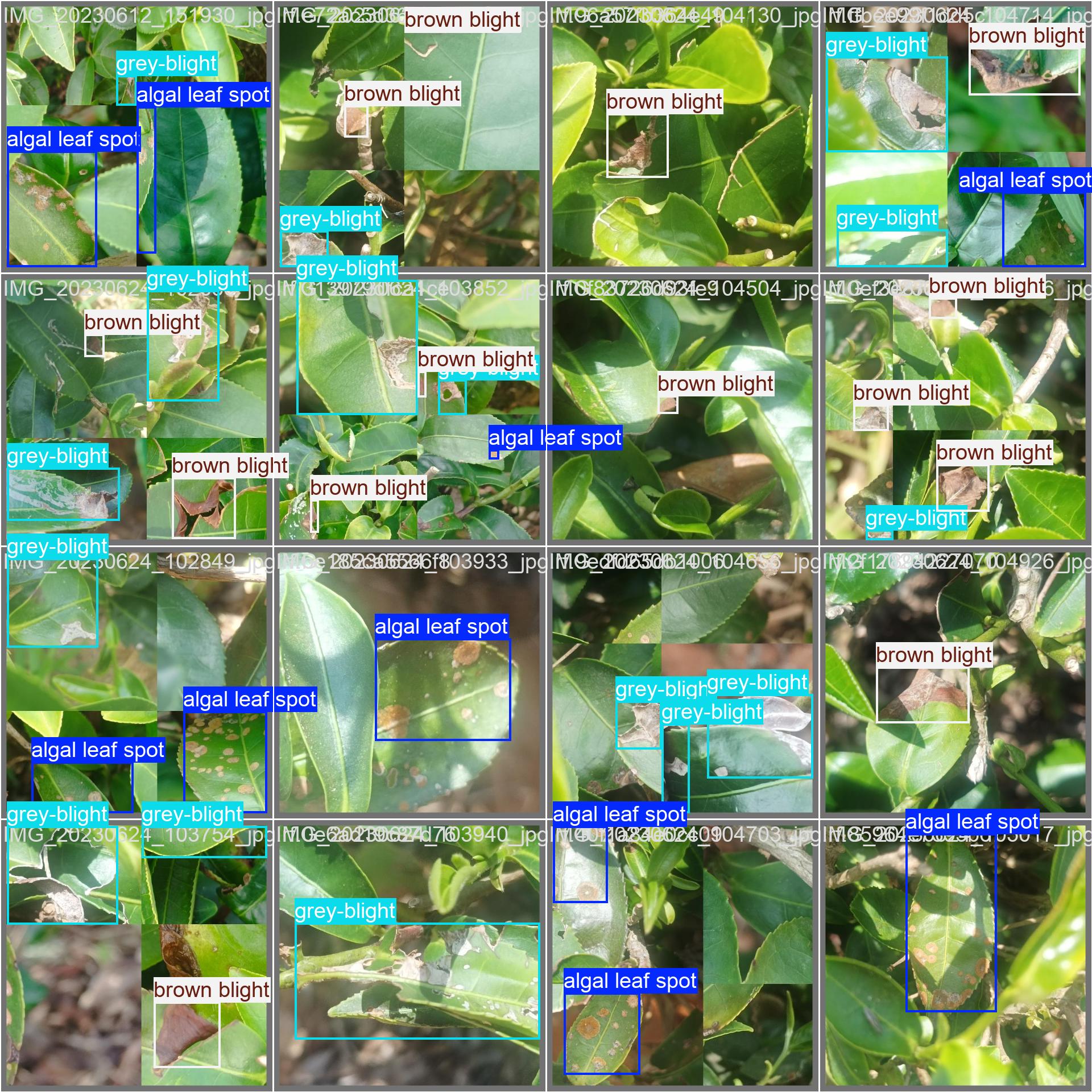 val_batch0_labels.jpg