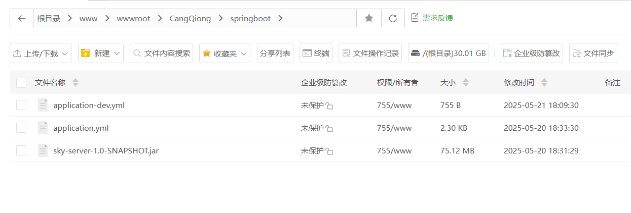 image-20250521181733253