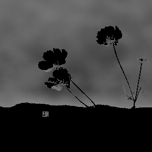 image-20250723191312652