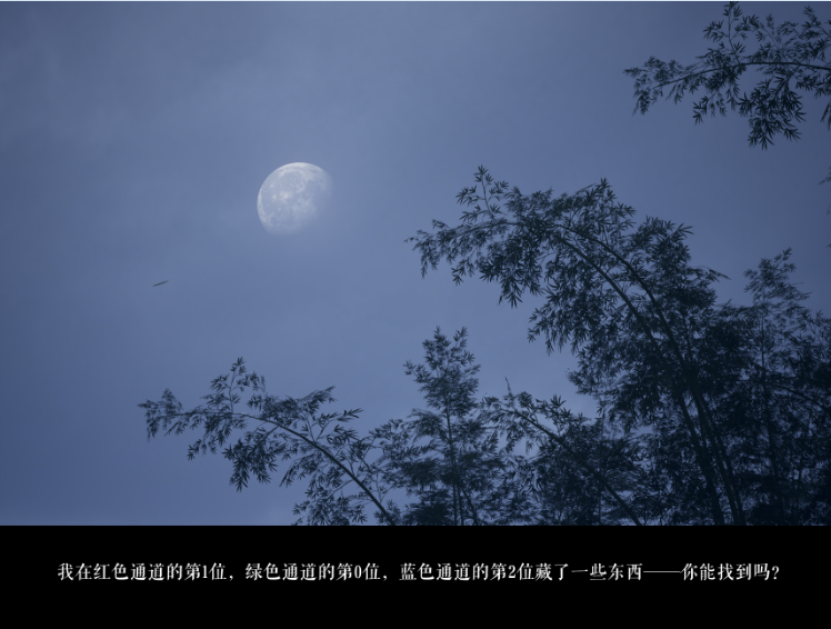 image-20251010190430477