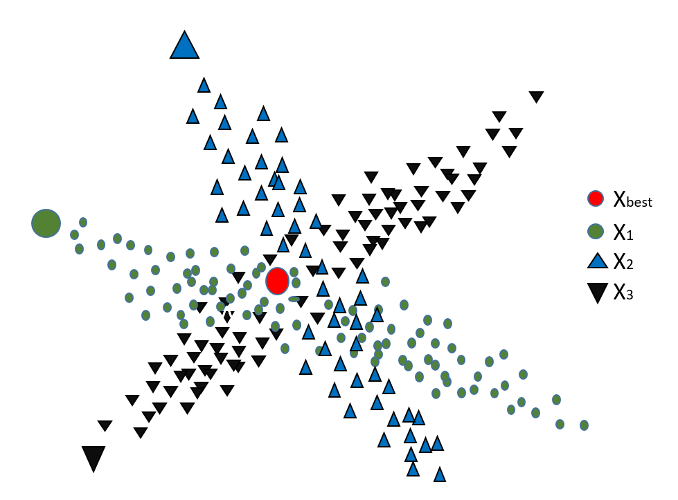 图7：二维空间中三只蝠鲼的空翻觅食行为