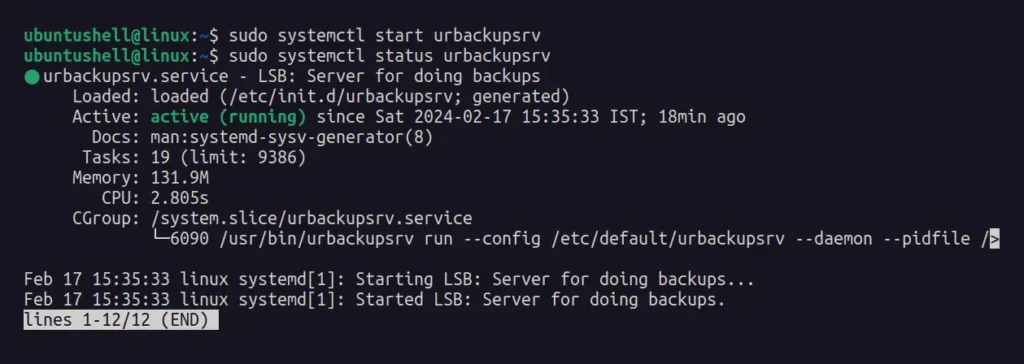 status of urbackup server
