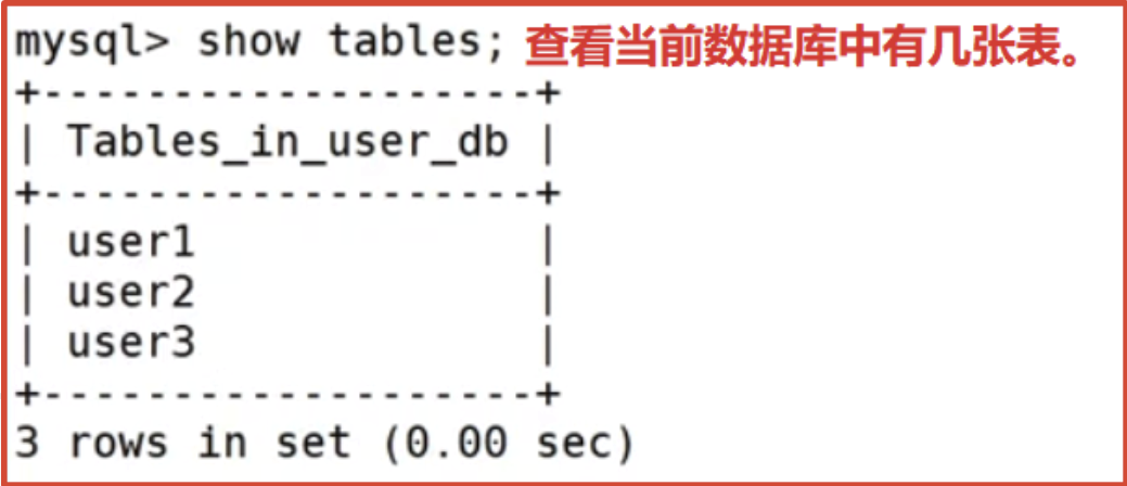image-20250220202118978