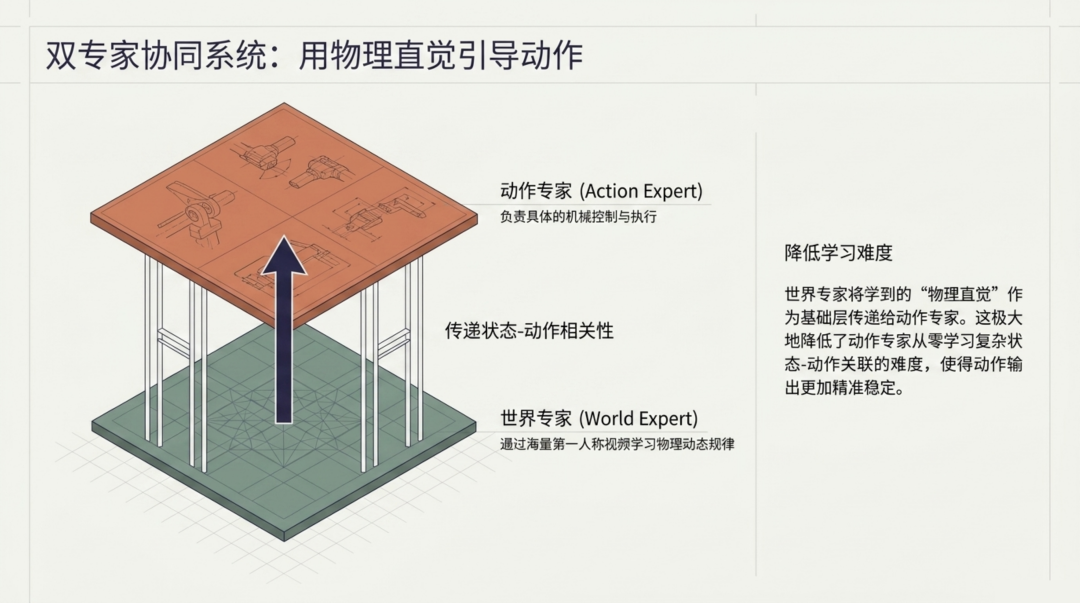 双专家协同系统