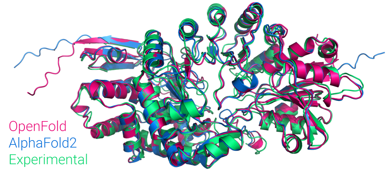 基于昇腾适配DeepMind团队发布的蛋白质结构预测模型OpenFold_深度学习