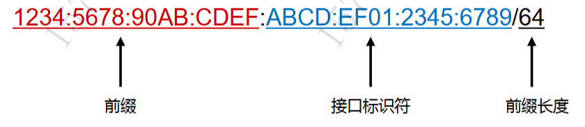 image-20250304204101331