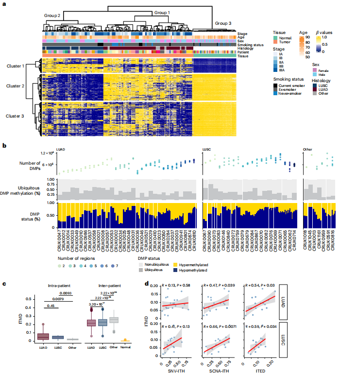 image https://i-blog.csdnimg.cn/img_convert/d4c3684c15f09b65c7a6340da3910526.png