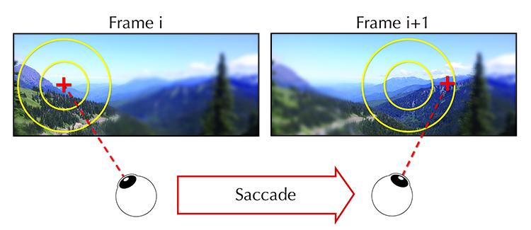 注视点控制与眼动