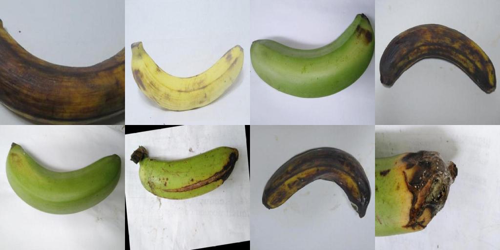 标注图1