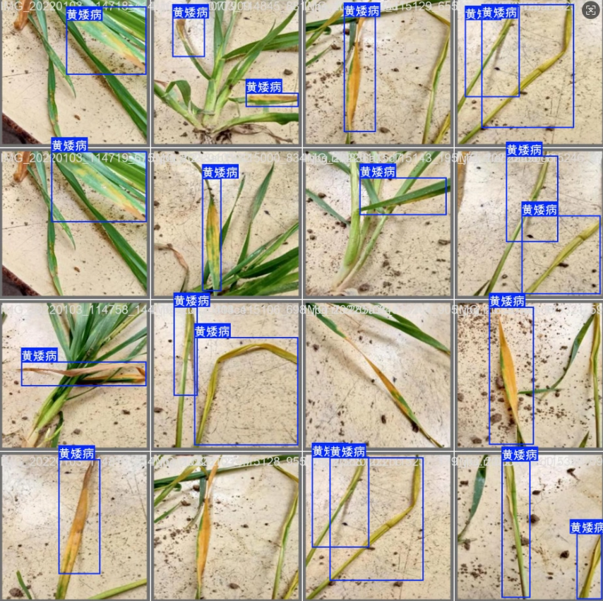 image-20260113003057524