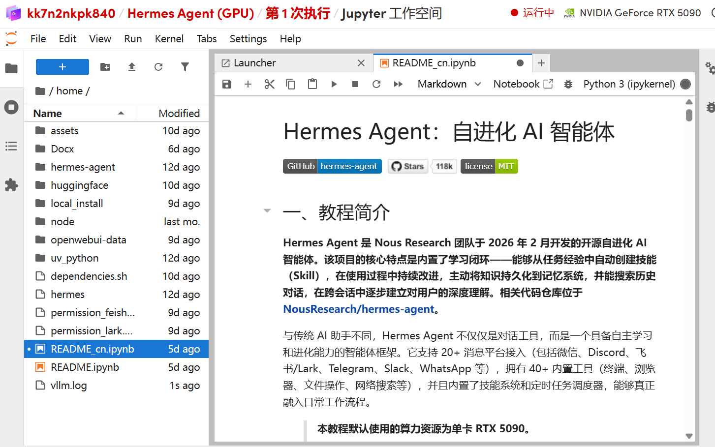 12_执行jupyter