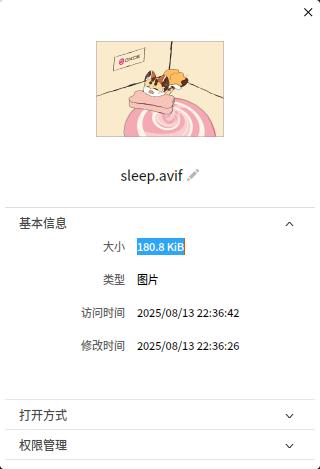 文件管理器支持鼠标选择复制文件属性信息