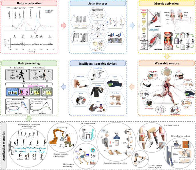 https://media.springernature.com/m685/springer-static/image/art%3A10.1038%2Fs44387-026-00083-5/MediaObjects/44387_2026_83_Figa_HTML.png