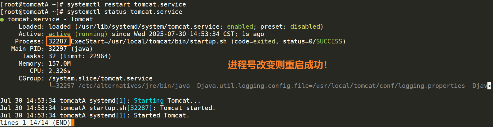 image-20250730145412862
