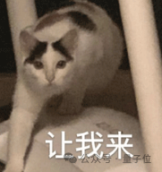 d7da36a5d415cd141303083fff424c94.png