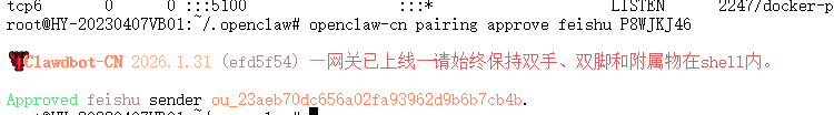 image-20260201111522362