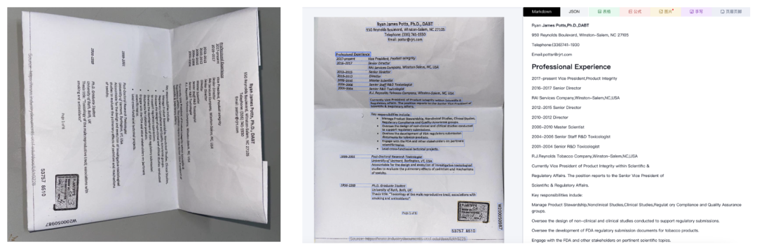 样本原图、预处理矫正结果与解析输出