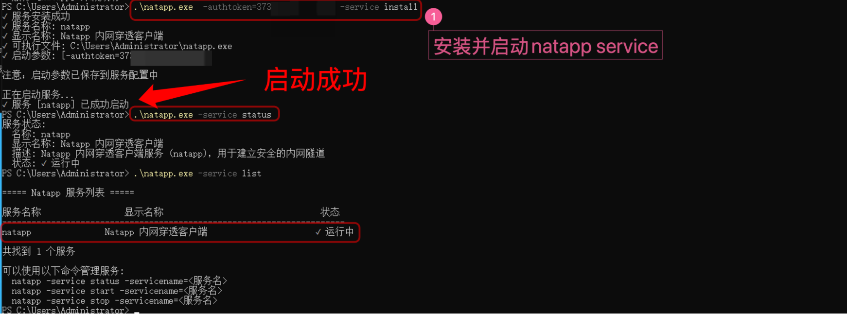 Natapp 服务安装、启动和状态检查成功