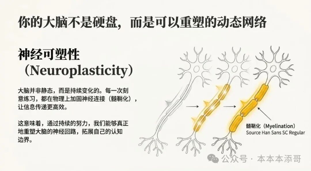高度神经可塑性