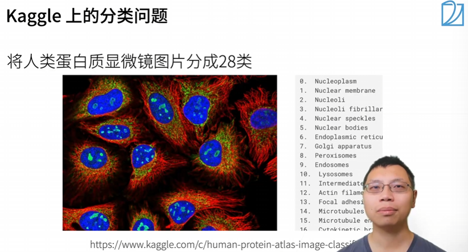image-20250425154121848