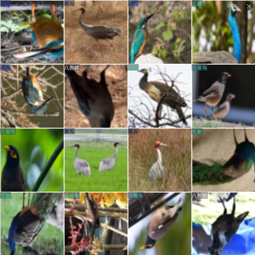 image-20250903022225386