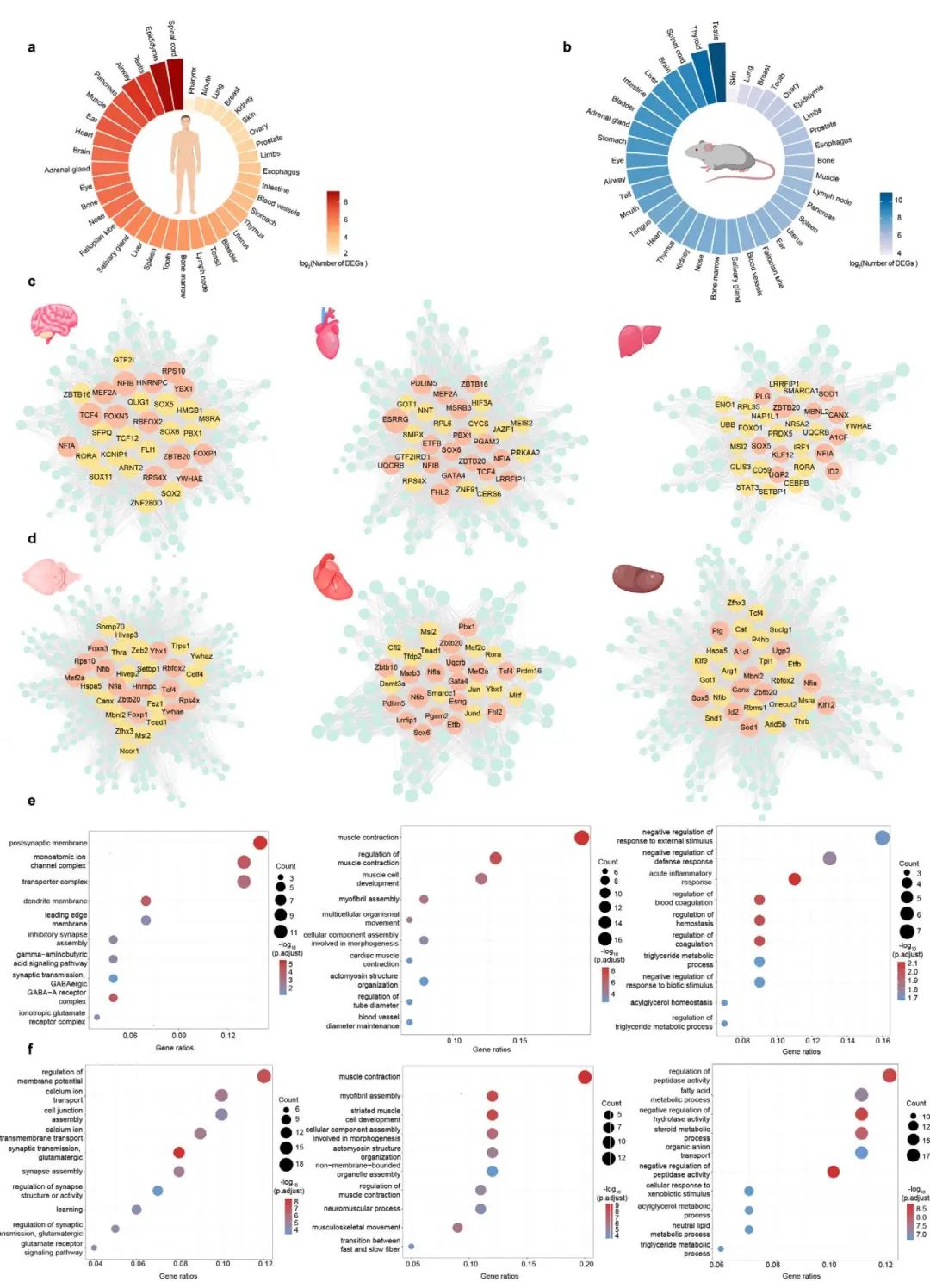 71260631a257ffec01fecbd45ceeb7aa1468dde2a839e3b6470c0987b8d70323