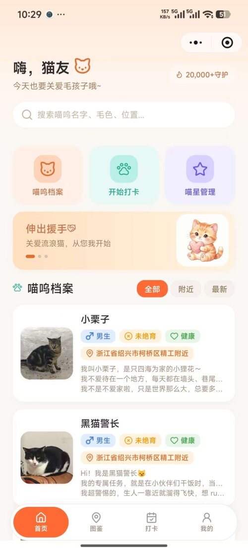 首页 - 主入口与信息流