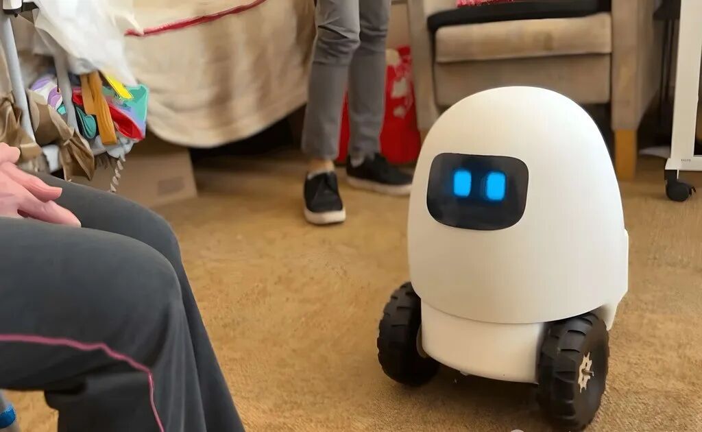 18岁女孩做养老机器人，上线2天卖爆了