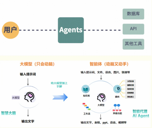 Agent（智能体）入门