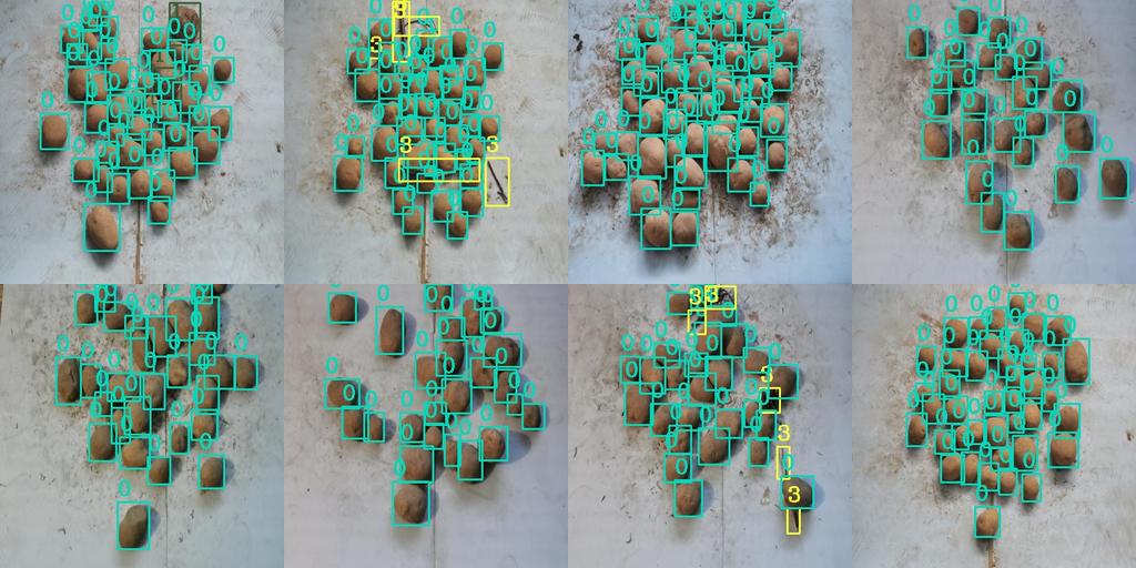 标注图1