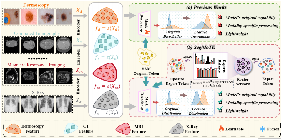 image-20260302075155207