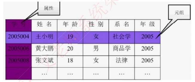 image-20240605200212222