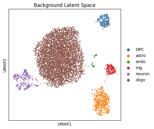 No description has been provided for this image