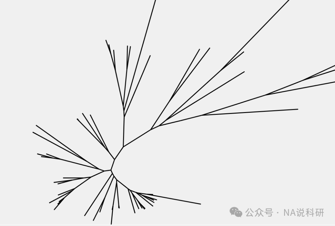 系统发育树详解-CSDN博客