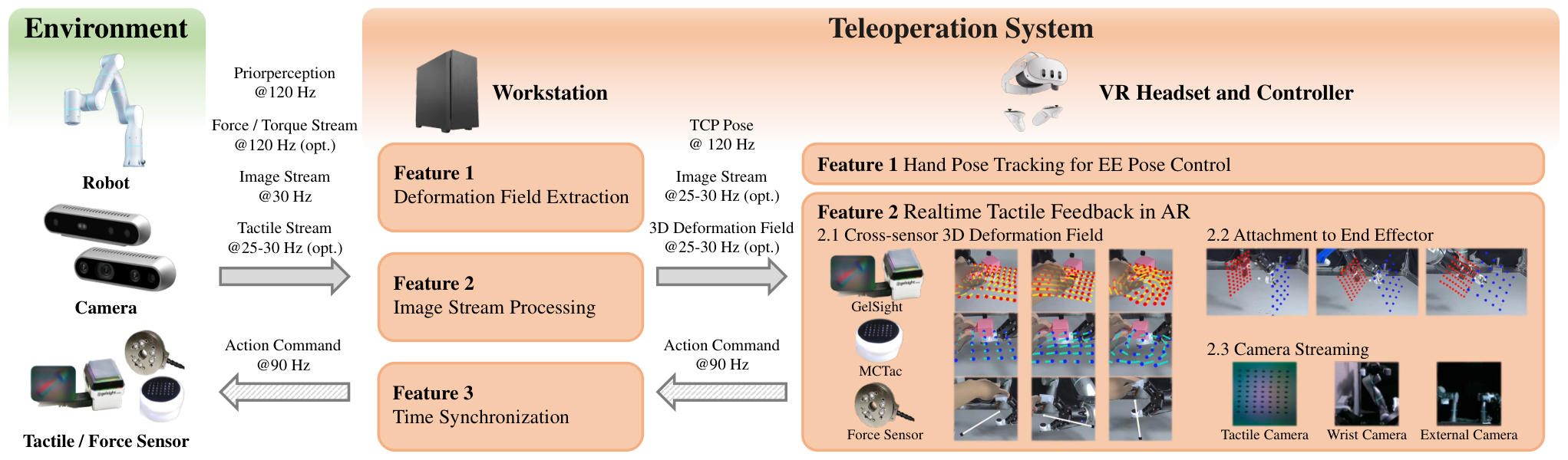 RDP Fig.2