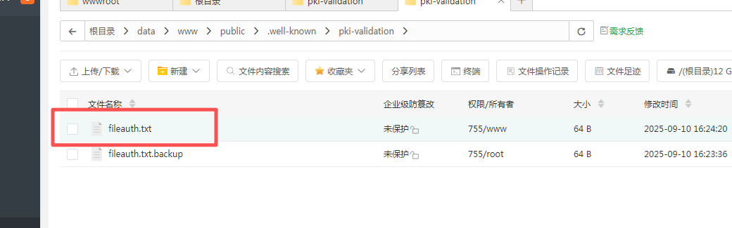 image-20250910165631194