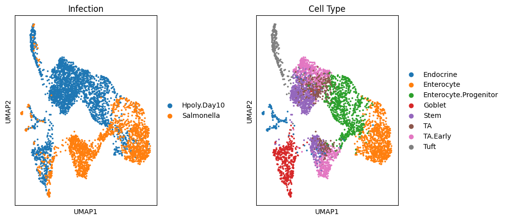 No description has been provided for this image