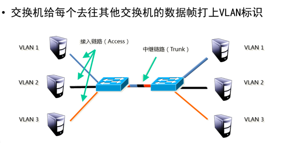 trunk中继链路-CSDN博客