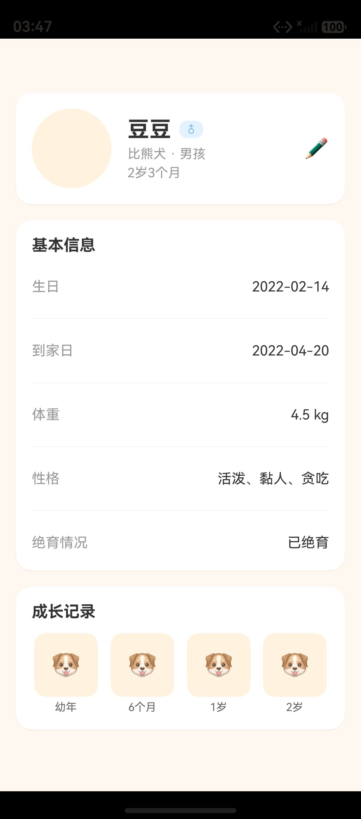 页面预览