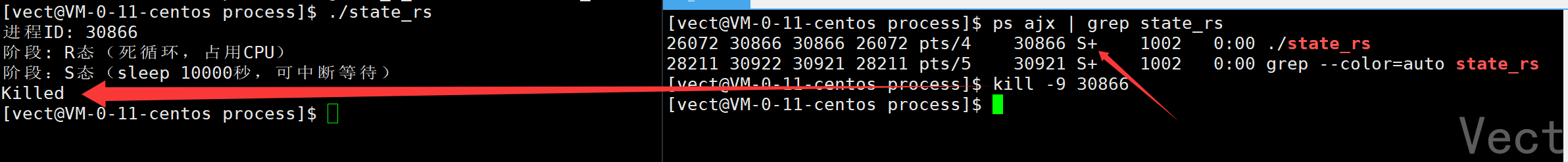 image-20251218222034112