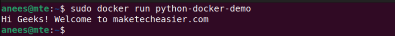 Run Docker Image For Testing