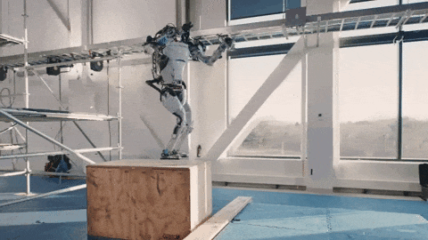dd60ced7d567238b994fd0e1d94f4e04.gif