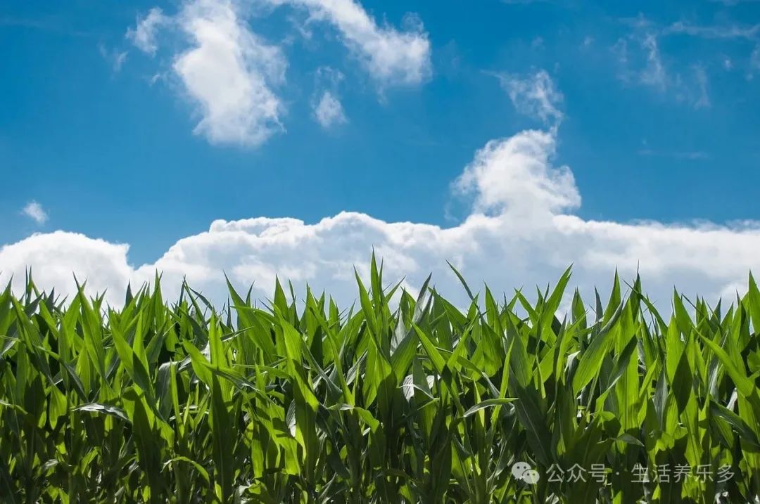 dd74a853571638e30b578fd99977f2b7.jpeg