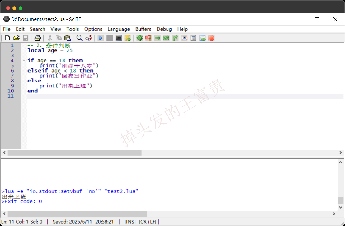 image-20250611205849611