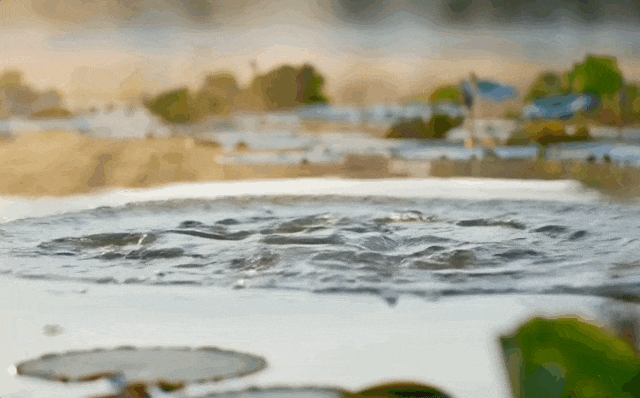 de0cbac5159baf5ed1e6b9b2db7e93e0.gif