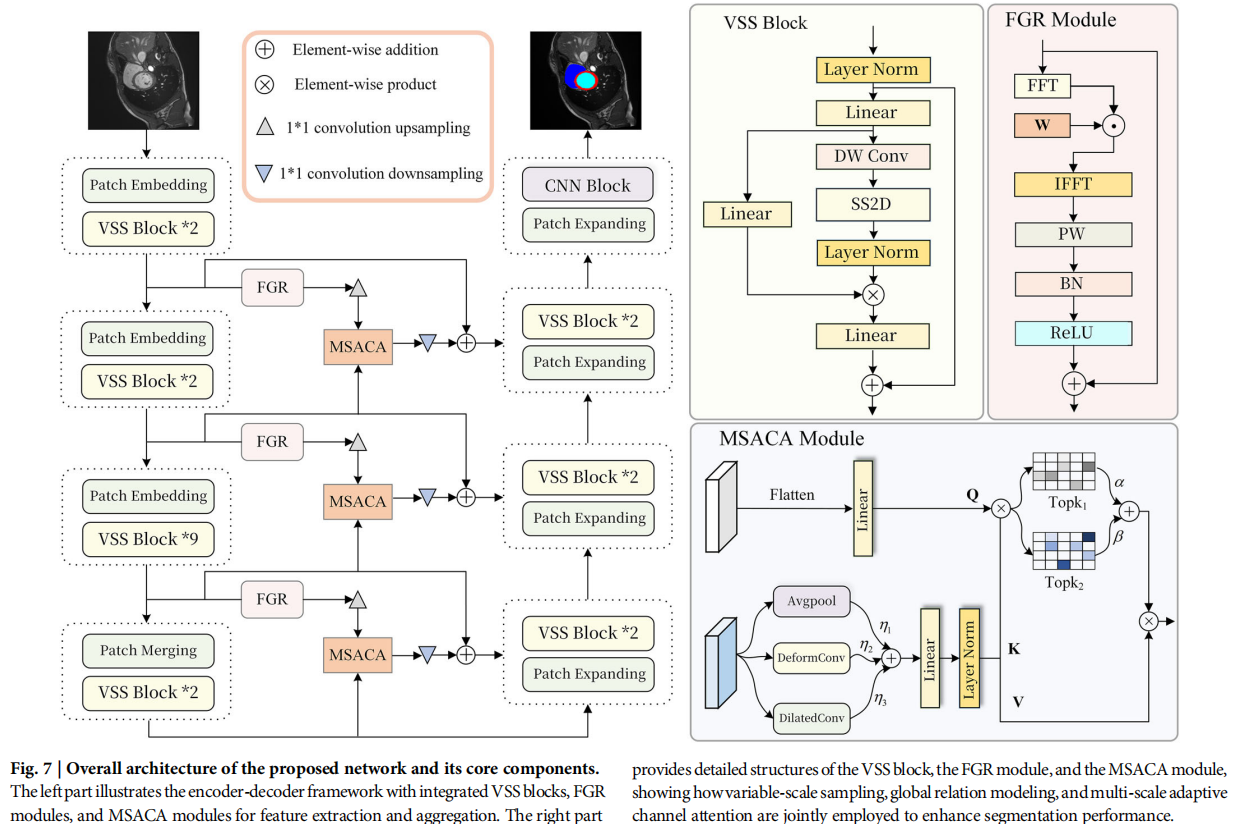 image-20260324065425011