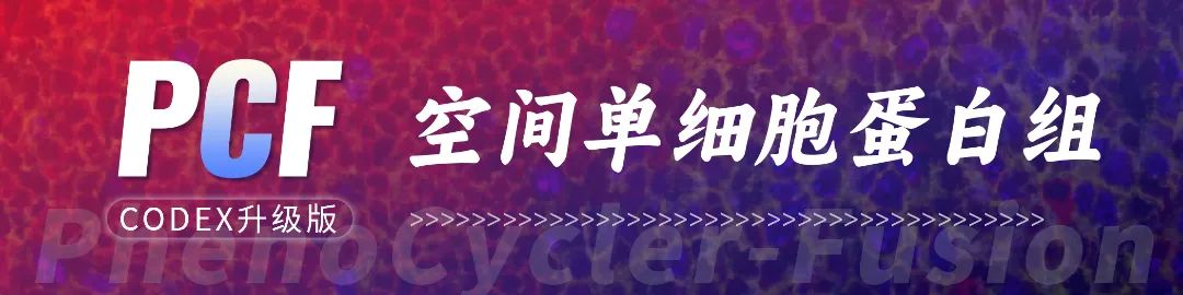 空单蛋头图---定.jpg