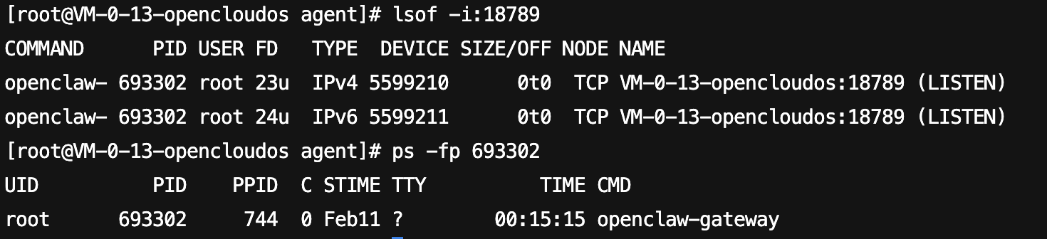 openclaw_gateway_18789运行端口