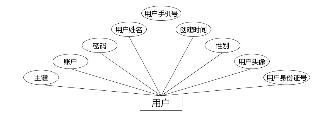 用户实体属性图